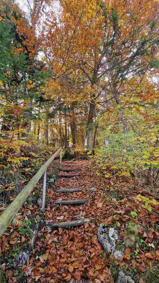 Herbststimmung