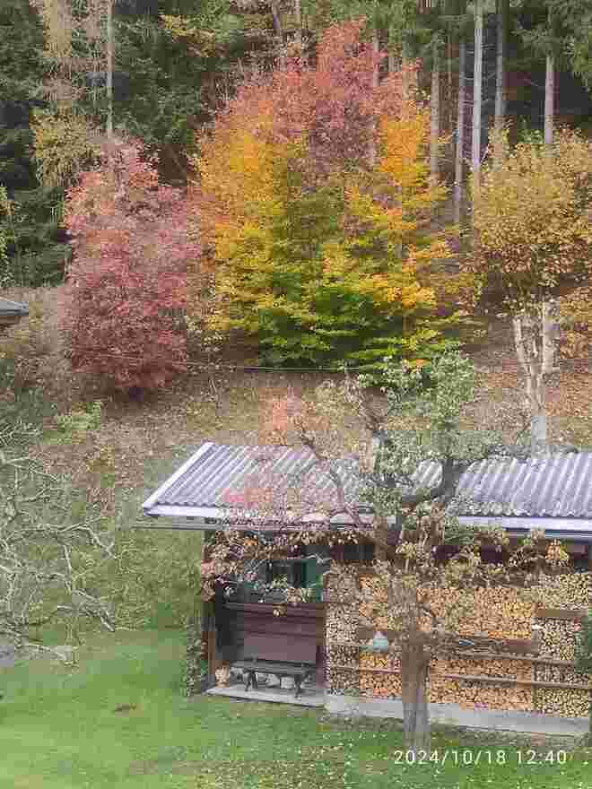 "Indian summer" auf unserem Hang hinterm Haus