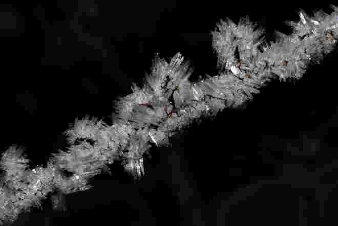 Frost