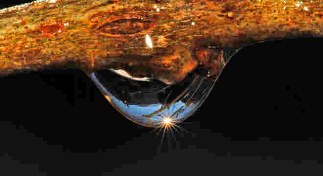 "Verkehrte" Welt in einem Wassertropfen
