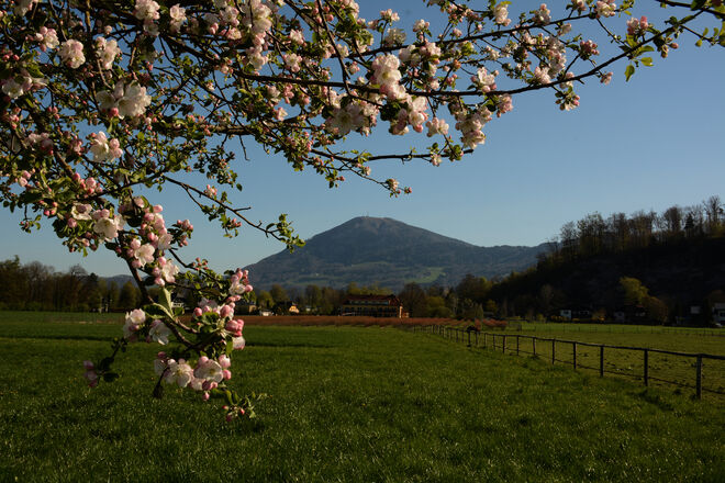 Blick zum Salzburger -Hausberg