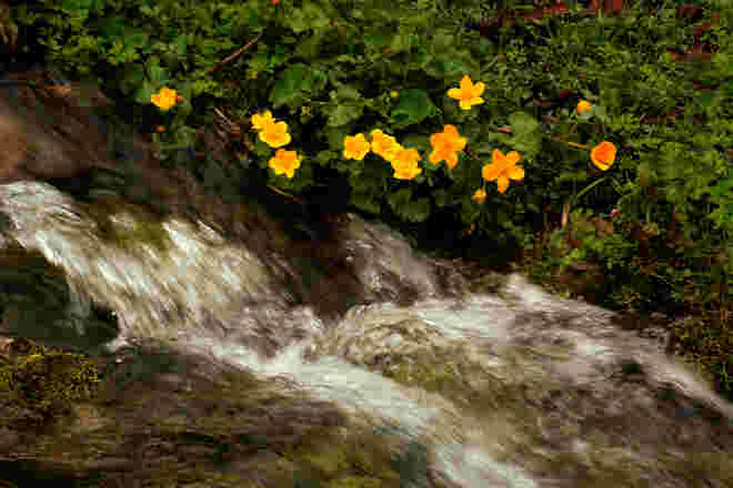 Natur pur!