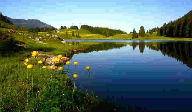 Seewaldsee