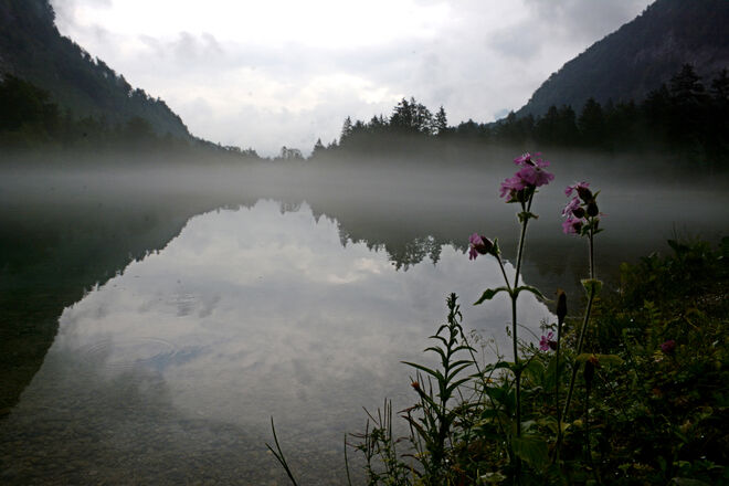 Nebeliges Bluntautal