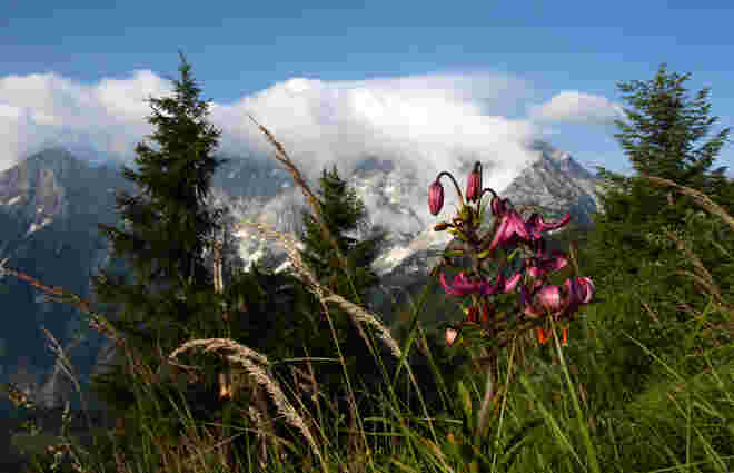 H.Göll in Wolken gehüllt