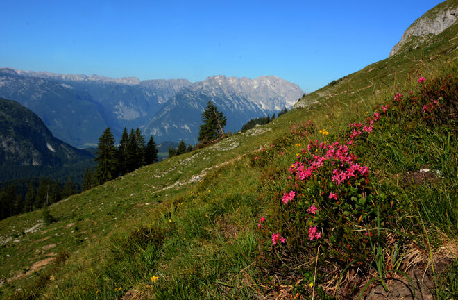 Trattbergblick westwärts: 