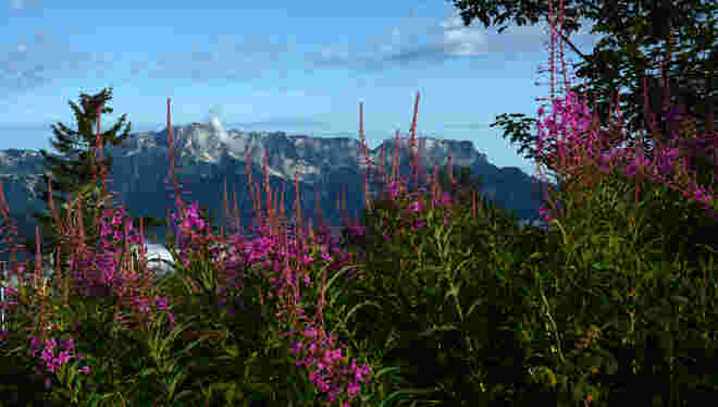 Untersbergblick...