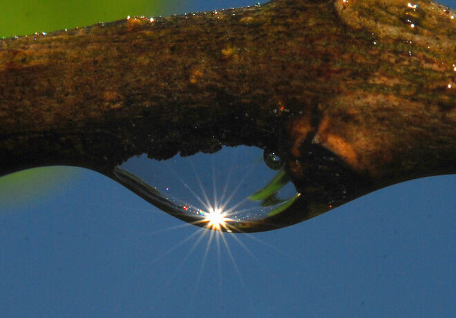 Sonne im Wassertropfen