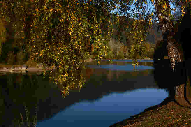 Herbst ....