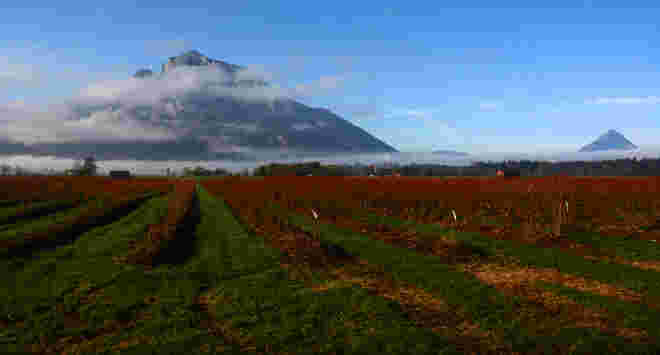 Untersbergblick...