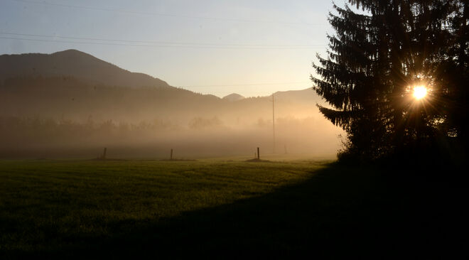 Morgennebel