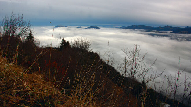 Nebel über dem Salzachtal