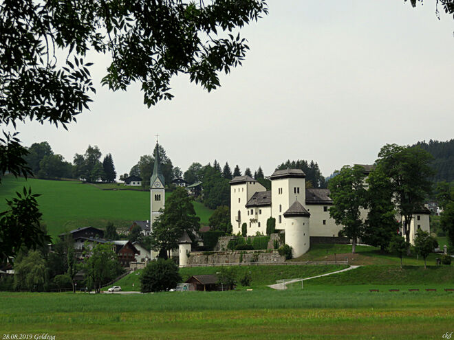 Blick auf Goldegg