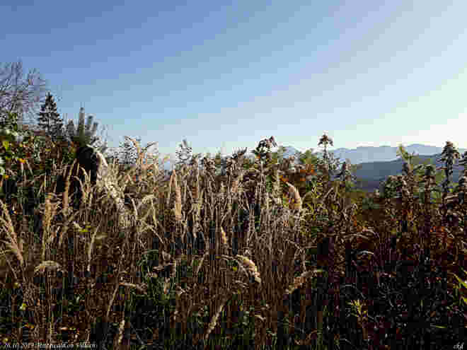 Herbst im Kärntnerlandl