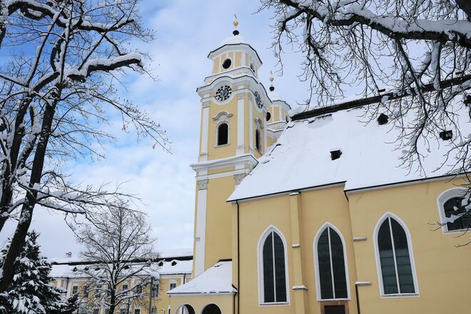 Basilika im Winterkleid