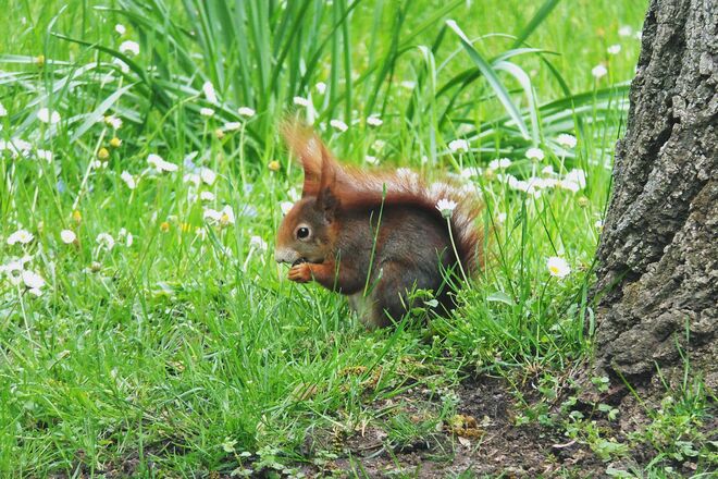 Knabberspaß im Park