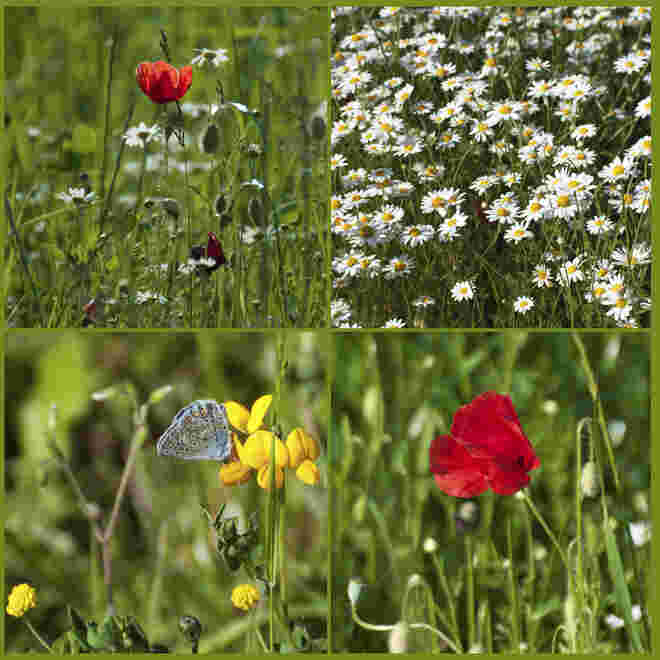 Sommer...