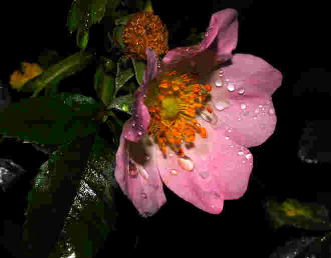 Regenwetter