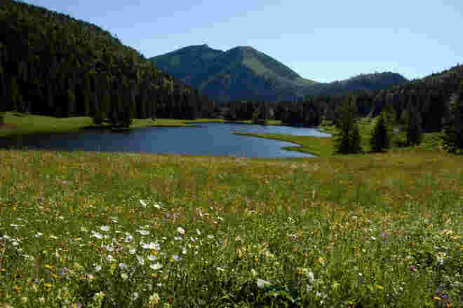 Kleinod im Tennengau: Seewaldsee
