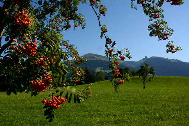 Vorboten des Herbstes