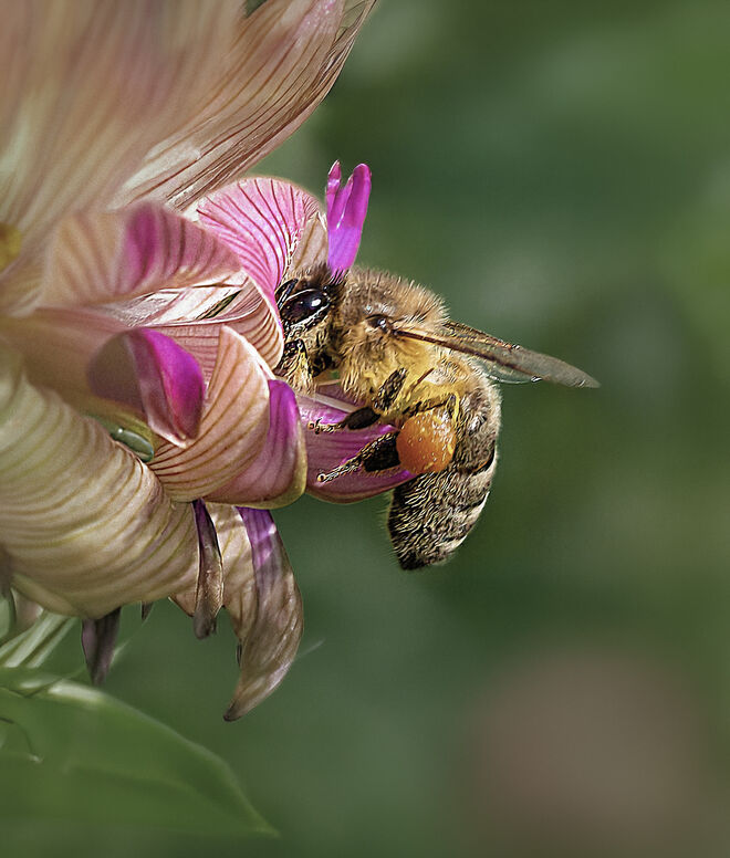 Arbeit auch bei dieser Hitze