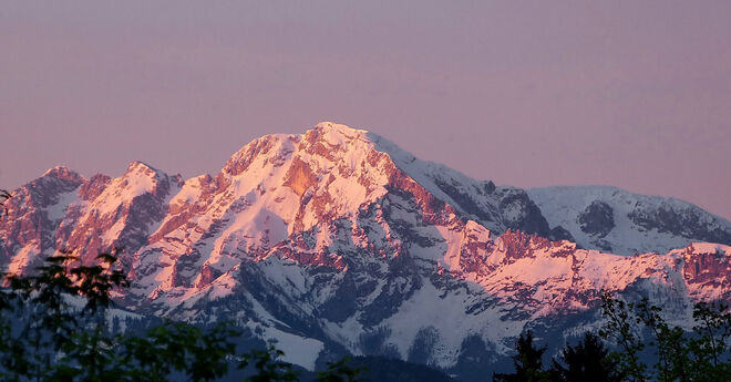 Morgenstund' hat Gold im Mund