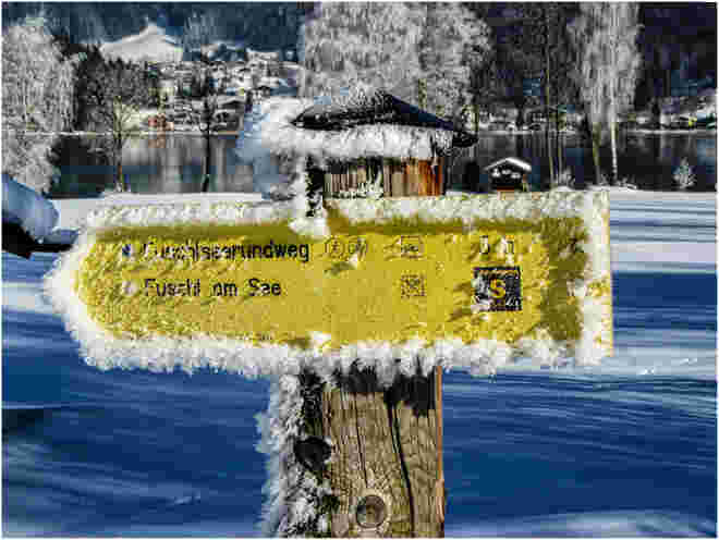 Winterwonderland