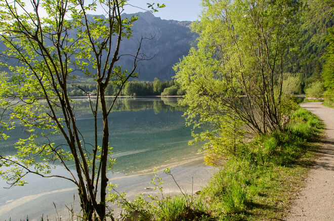 Frühling am Offensee