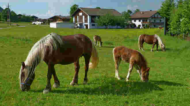 Kinderstube
