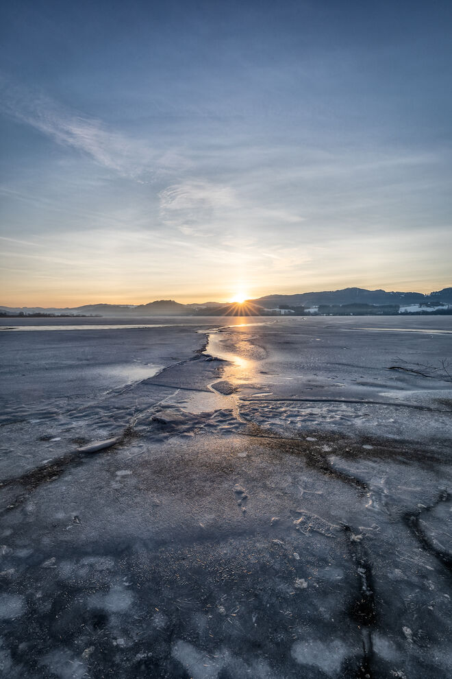 noch Winter oder schon Frühling ...
