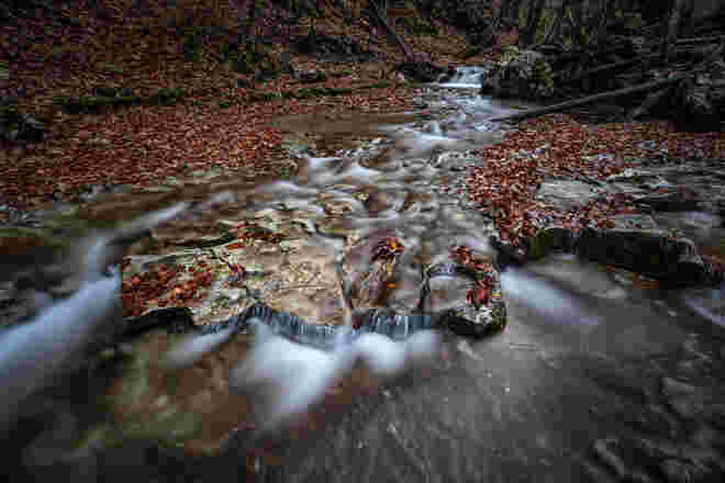 Herbstwasser ...