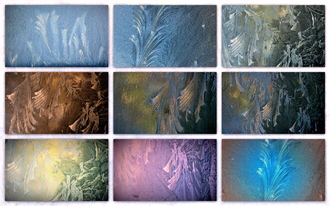 Eiskristalle von heute Morgen