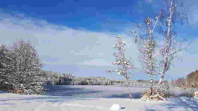 Allein am See