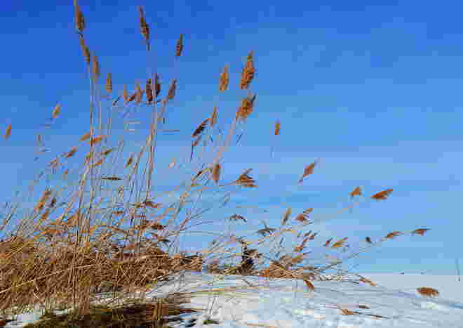 Winterliche Impression