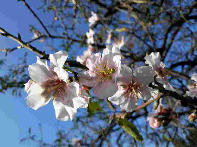 Auf Frühlingssuche....