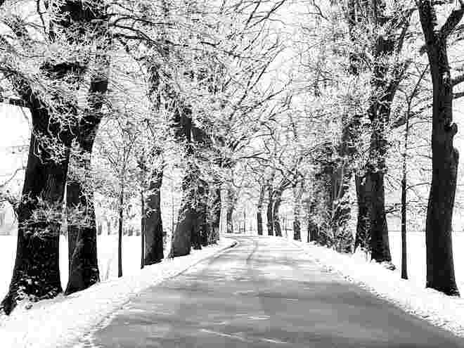 Die Allee