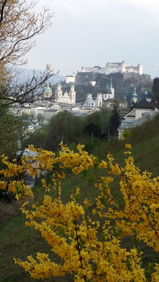 Hohensalzburg