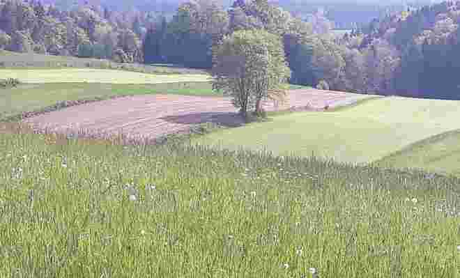 Ein Fleckerlteppich....