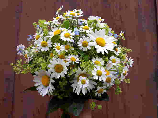 Ein Blumensträußchen