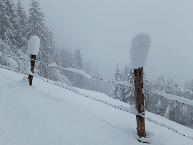 Ja, der Winter ist da .....