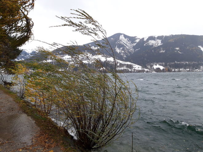 Ungewöhnlich hohe Wellen am Zeller See