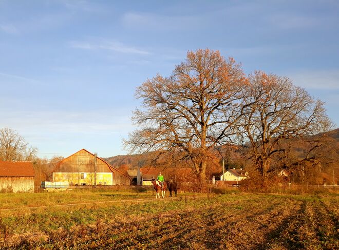 Abendspaziergang.....