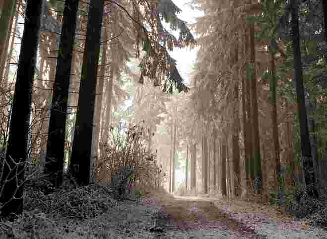 Der Weg in den Winter.....