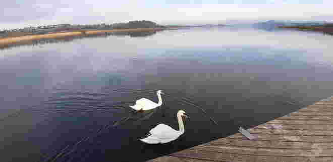 Schwanen-See