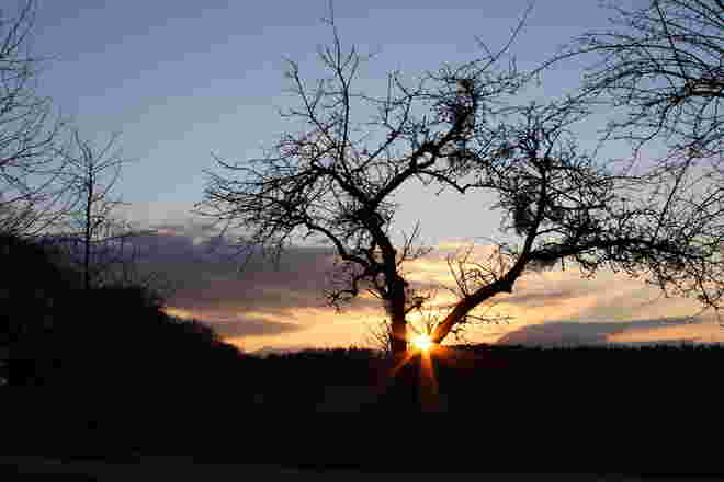 Sonnenuntergangstimmung 