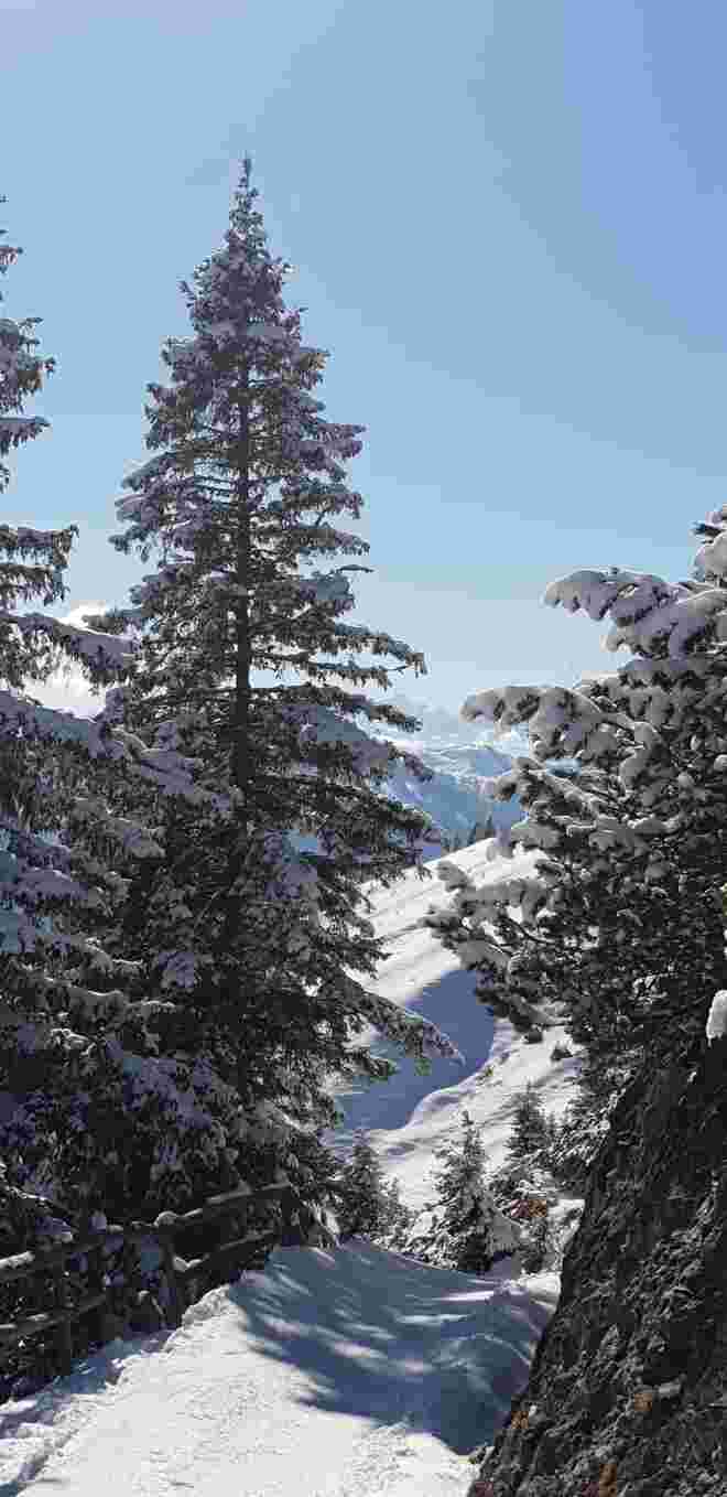 Ausblicke vom Hochkönig