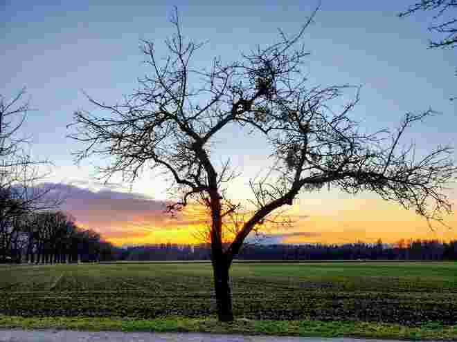 Greif den Augenblick 