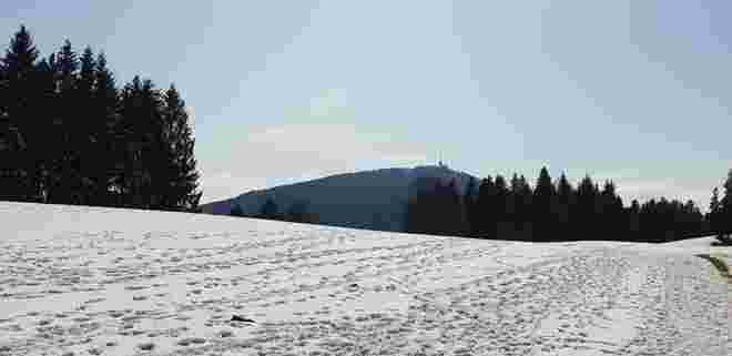 Eugendorfer Berg