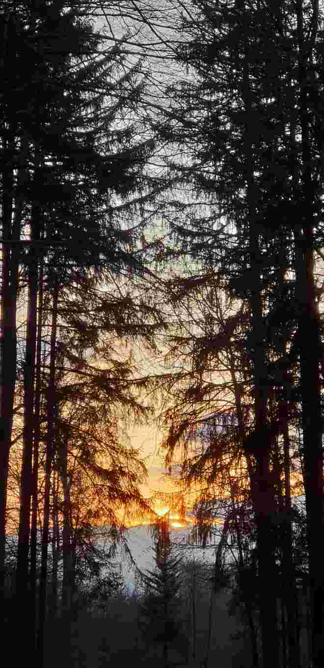 Abendstimmung
