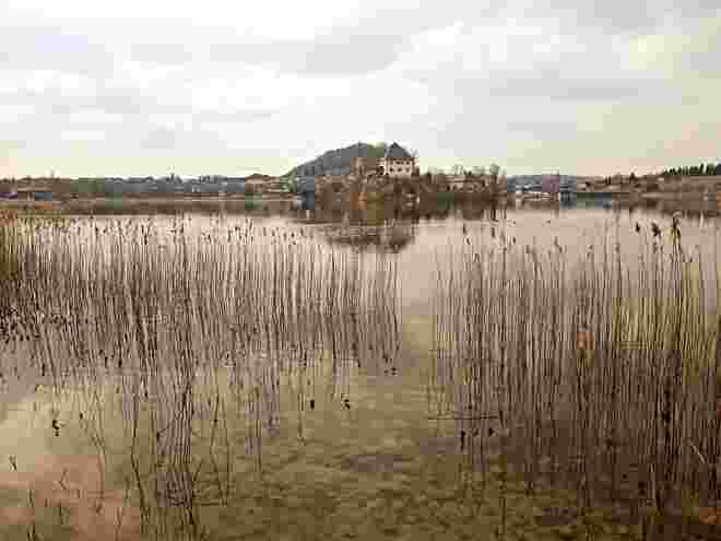 Am Mattsee 